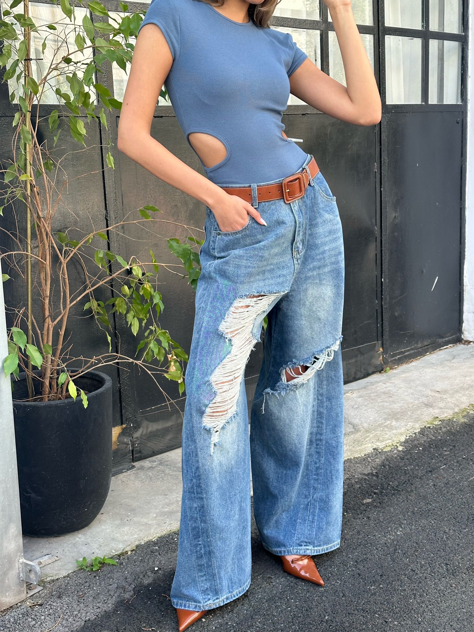 ג'ינס אלאור