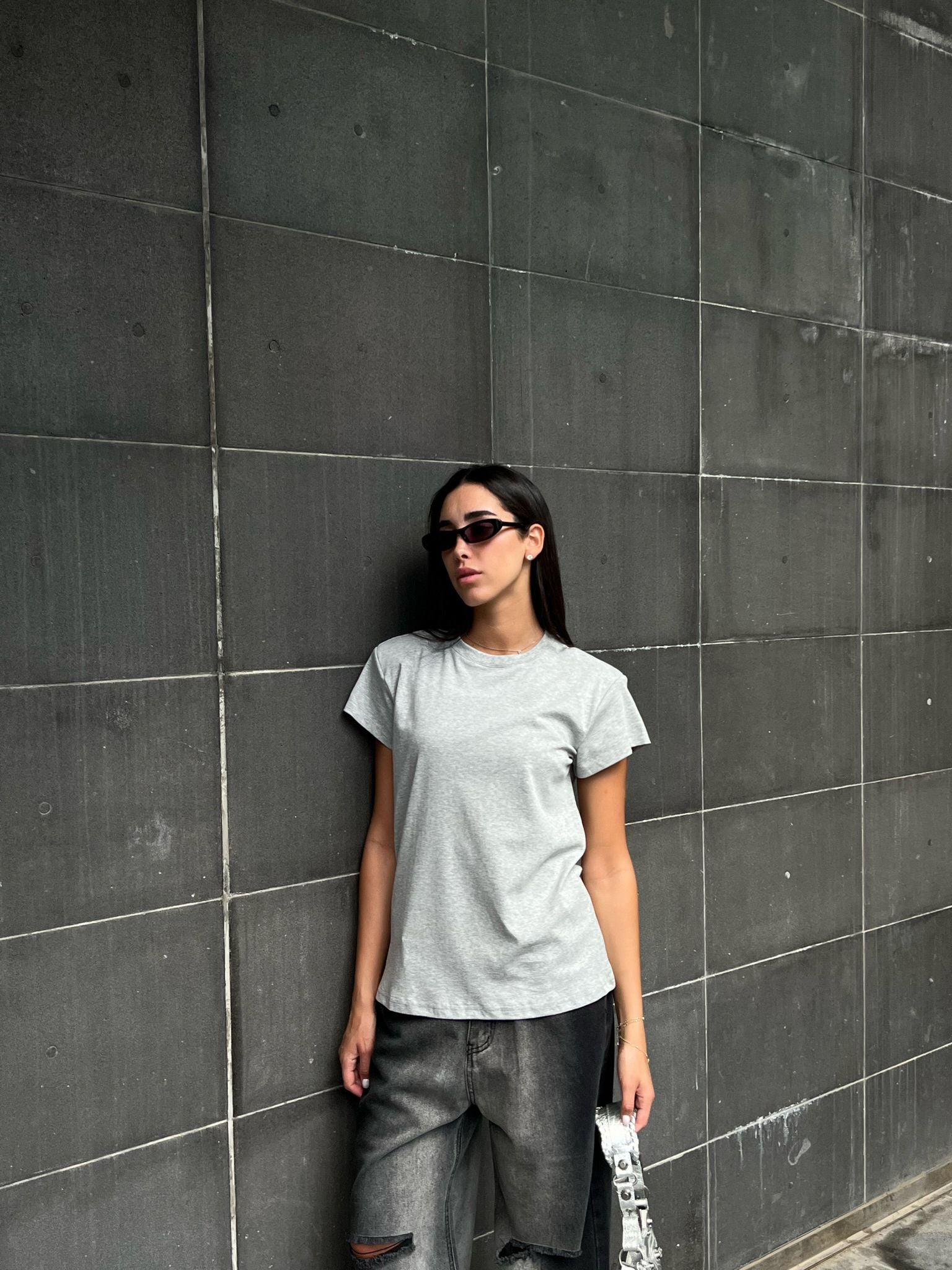 בייסיק ליבי כריות אפור